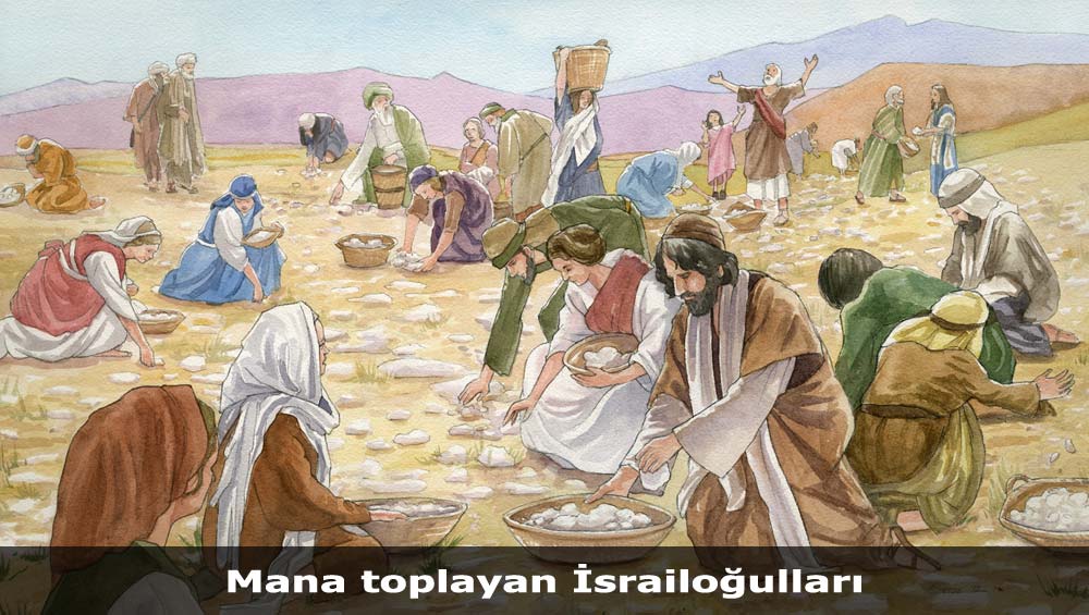 Ahit Sandığı