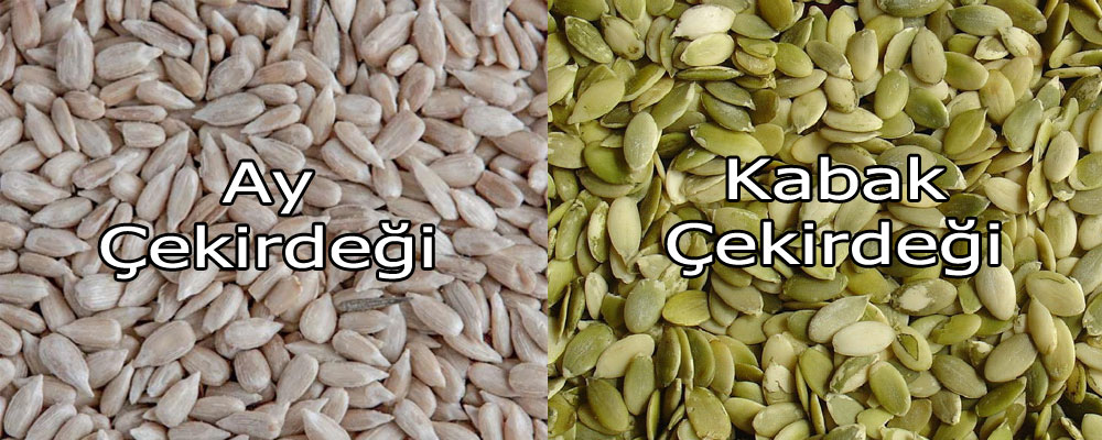aykabakcekirdegi.jpg