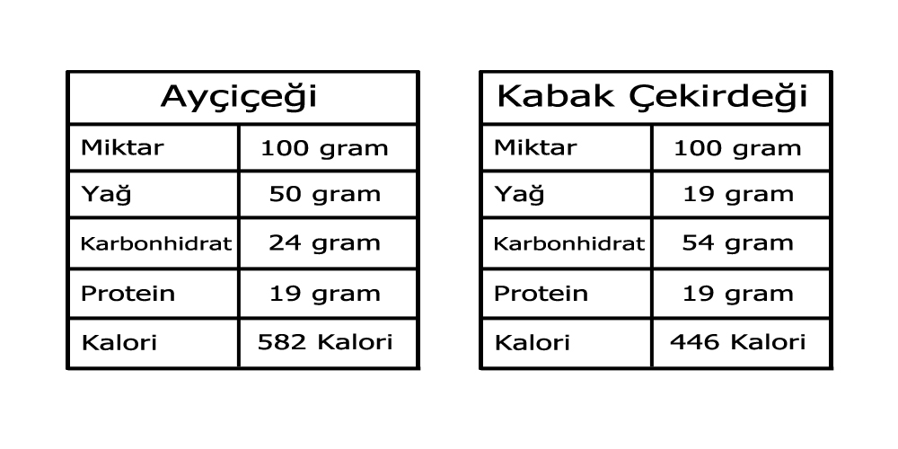 Ay Çekirdeği ve Kabak Çekirdeği