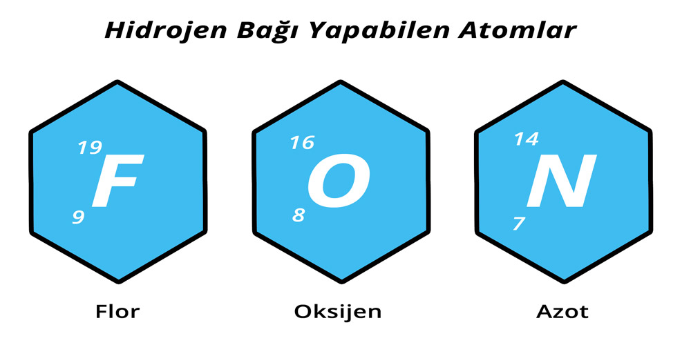 Hidrojen Bağı