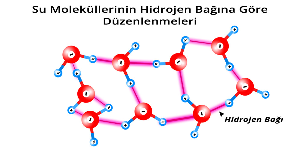 Hidrojen Bağı