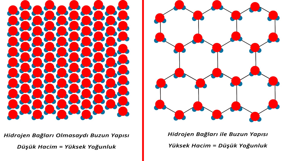 Hidrojen Bağı