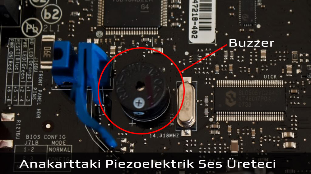 Buzzer