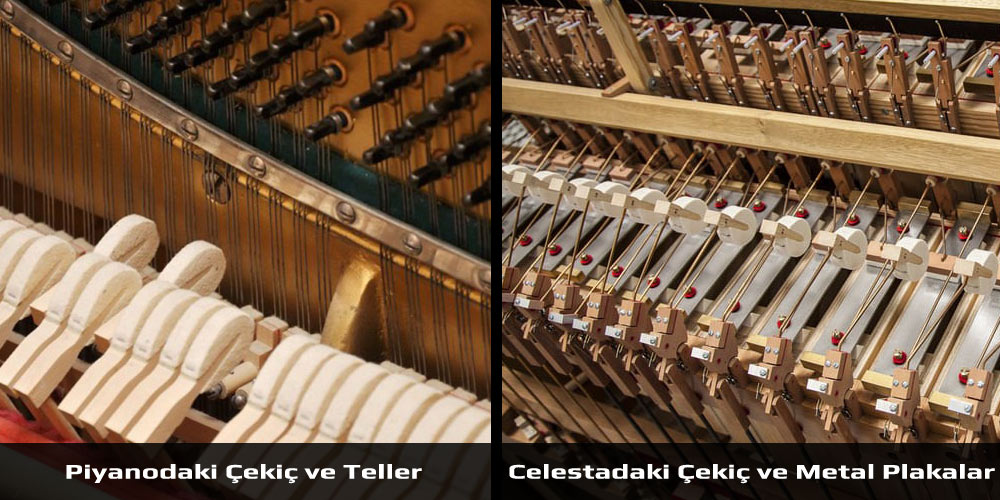 Celesta