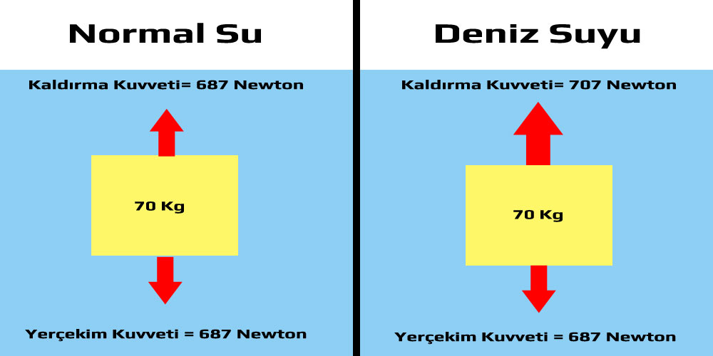 Denizde Yüzmek