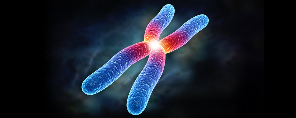 DNA, Gen ve Kromozom Nedir?