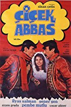 Afiş