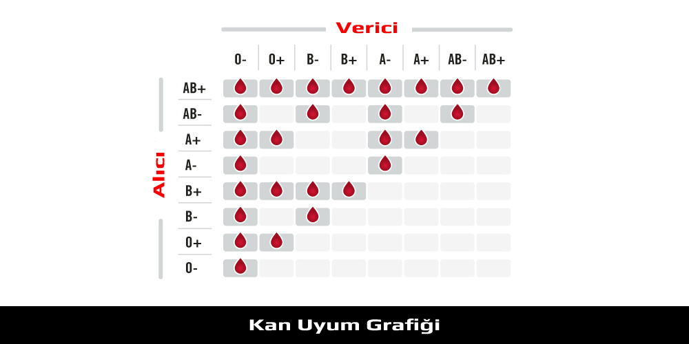 Kan Grupları