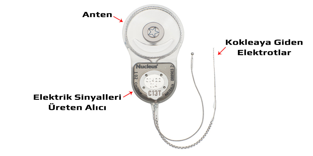 Koklear İç Kısım