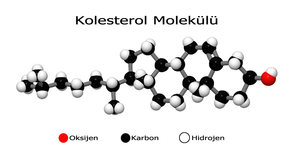 Kolesterol