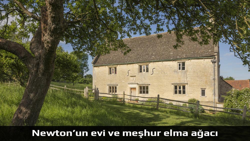 newton