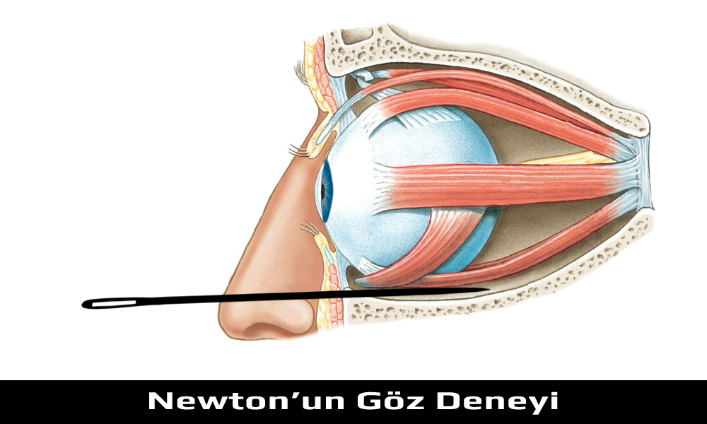 Newton Göz Deneyi