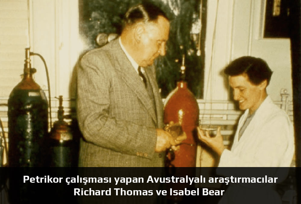 Yağmur Kokusu Petrikor