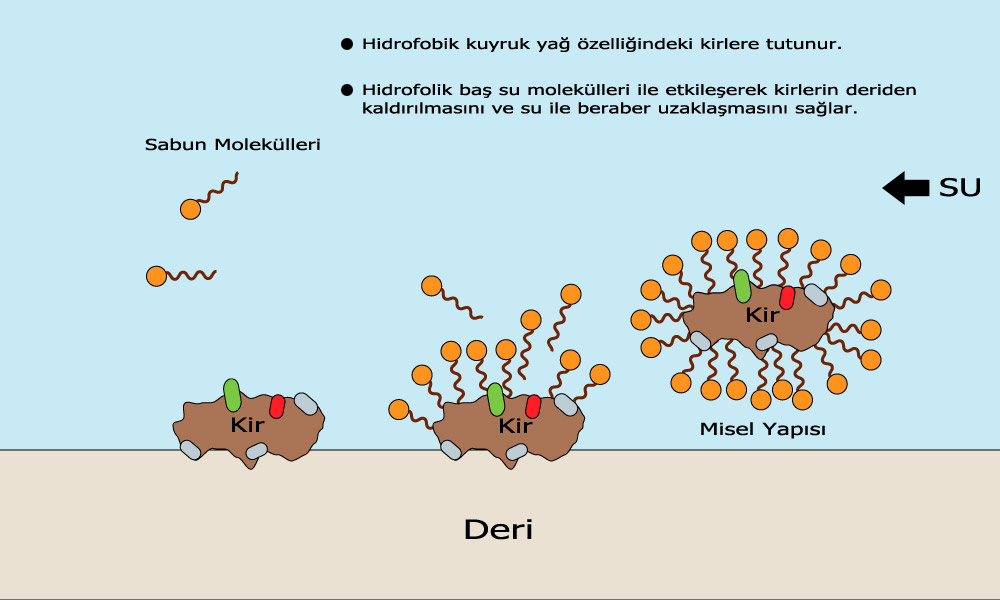Sabun