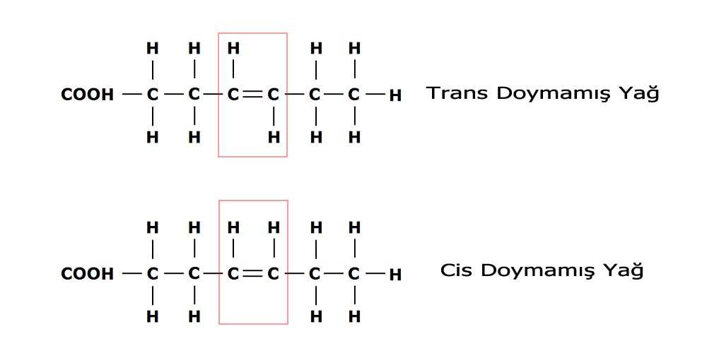 Trans Yağ