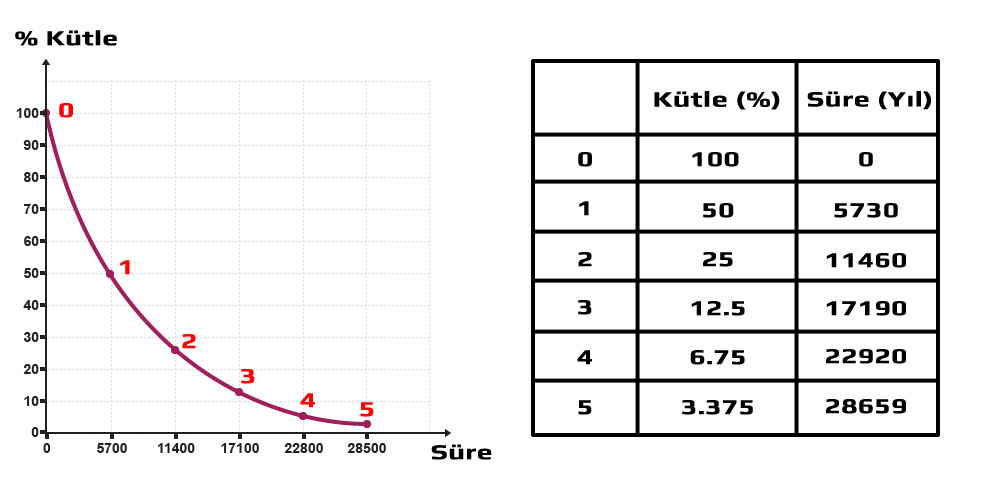 Karbon-14 Yarılanma Süresi