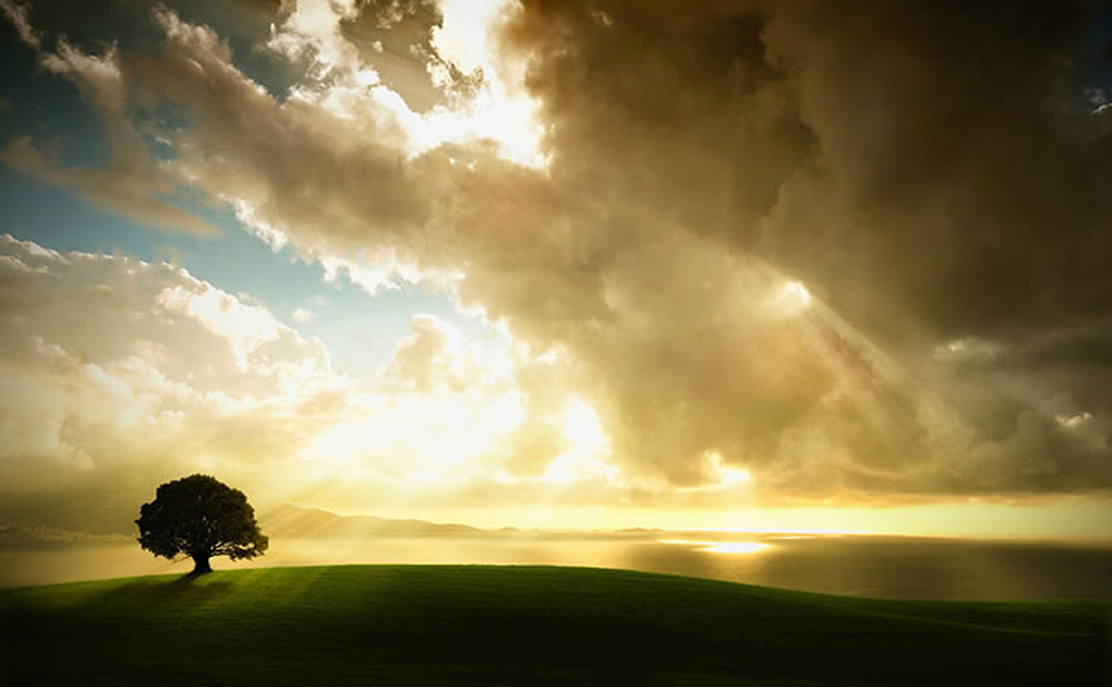 Photoshop Yazı Silme